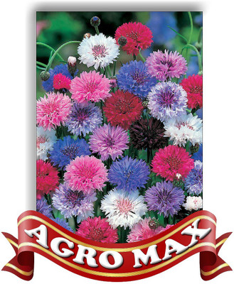Agro Max CORN FLOWER DOUBLE MIX Seed(50 per packet)