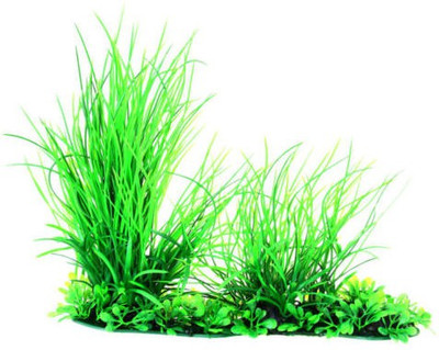 

ROSEMERC GRASS Seed(30 per packet)