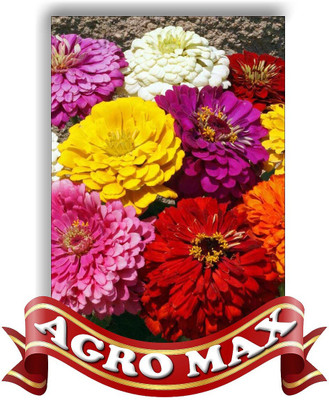 

AGRO MAX ZINNIA DHALIA FLOWERED MIX Seed(50 per packet)