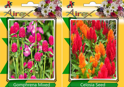 

Airex Gomphrena Mixed, Celosia Seed(25 per packet)
