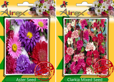 Airex Aster, Clarkia Mixed Seed(30 per packet)