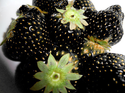 

National Gardens Black Strawberry Seeds by National Gardens Seed(20 per packet)