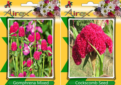 

Airex Gomphrena Mixed, Cockscomb Seed(25 per packet)