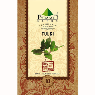 

Pyramid Seeds Tulsi Seed(200 per packet)