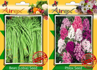 Airex Bean (Lobia), Phlox Seed(15 per packet)