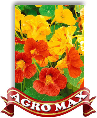 

Agro Max NASTURSIUM SPECIAL MIX Seed(50 per packet)