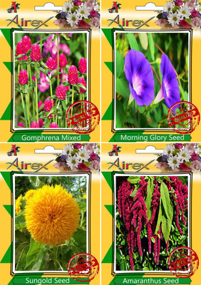 

Airex Gomphrena Mixed,Morning Glory,Sungold and Amaranthus Seed(15 per packet)