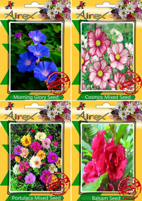 

Airex Morning Glory,Cosmos Mixed,Portulaca Mixed and Balsam Seed(25 per packet)