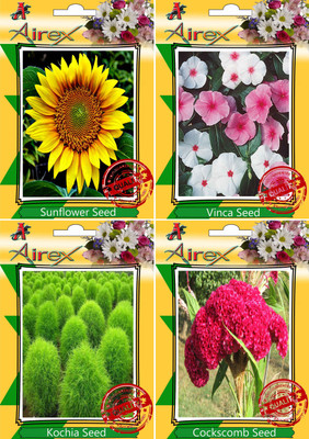 

Airex Sunflower,Vinca,Kochia and Cockscomb Seed(15 per packet)