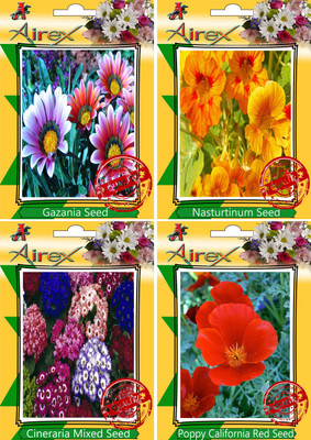 

Airex Gazania, Nasturtium Mixed, Cineraria Mixed, Poppy California Red Seed(30 per packet)