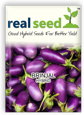 

Real Seed Brinjal Seed(50 per packet)