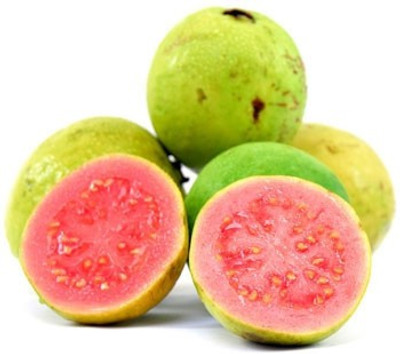 

Seed Factory Guava Seed(50 per packet)