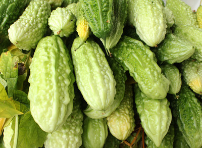 

Eplant Karela Seed(20 per packet)