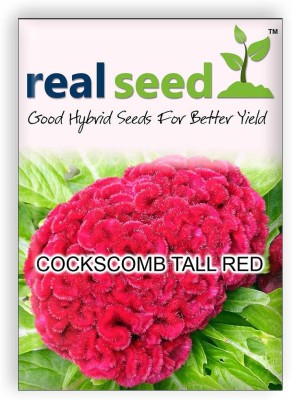 

Real Seed Cockscomb Flower Seed(50 per packet)