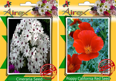 

Airex Cineraria, Poppy California Red Seed(15 per packet)