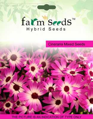 

FARM SEEDS Cineraria Mixed Seed(100 per packet)