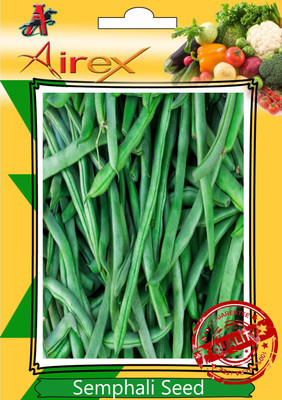 

Airex Semphali Seed(20 per packet)