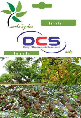 

DCS Imli Seed(10 per packet)