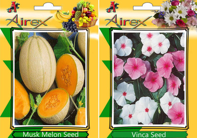 Airex Musk Melon and Vinca Seed(15 per packet)
