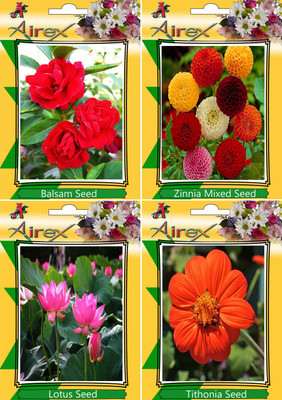 

Airex Balsam, Zinnia Mixed, Lotus, Tithonia Seed(20 per packet)
