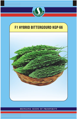 

Sungro Seeds Limited Sungro Hybrid Bittergourd Seeds (Pack of two) Seed(15 Per Packet)