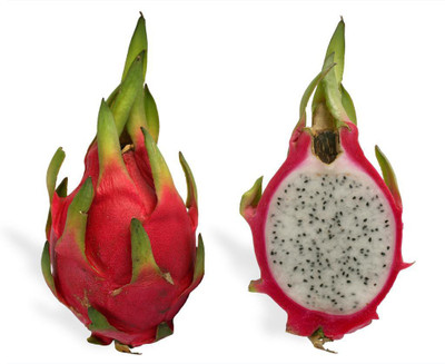 

National Gardens White Dragon Fruit Seeds by National Gardens Seed(10 per packet)