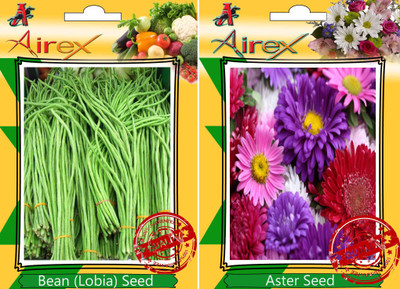 Airex Bean (Lobia), Aster Seed(15 per packet)