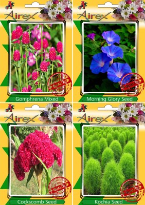 Airex Gomphrena Mixed,Morning Glory,Cockscomb and Kochia Seed(20 per packet)