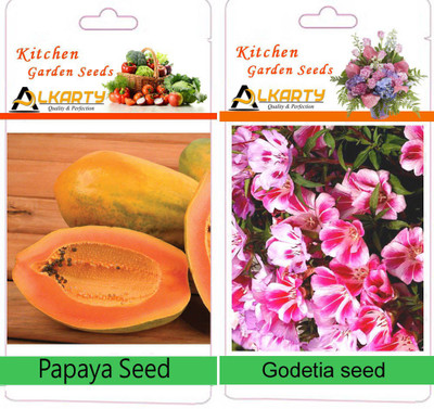 

Alkarty Papaya seeds, godetia seed Seed(20 per packet)