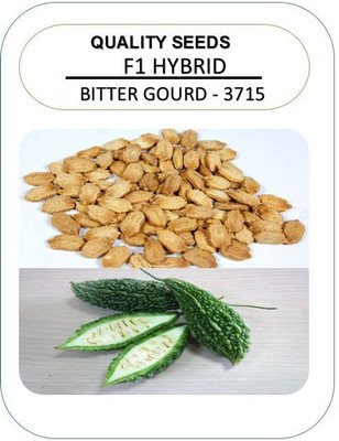 

NeART Bitter Gourd Hybrid Seed(50 per packet)