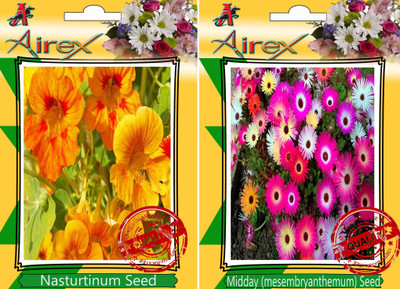 Airex Nasturtium Mixed, Midday Seed(25 per packet)