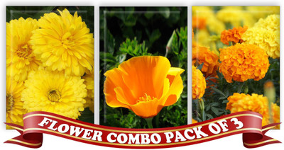 

Real Seed Flower Combo Pack - Calendula Yellow, California Poppy, Marigold Orange Bunch F1 Hybrid Seeds Seed(3 per packet)