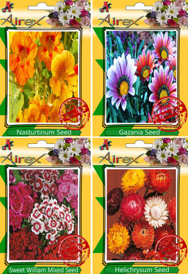 

Airex Nasturtium Mixed, Gazania, Sweet William Mixed, Helichrysum Mixed Seed(30 per packet)
