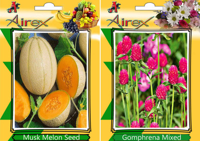 Airex Musk Melon and Gomphrena Mixed Seed(20 per packet)