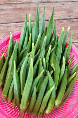 

Raunak Seeds Okra Seed(50 per packet)