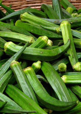 

Real Seed Okra F1 Hybrid Imported Seed(10 per packet)