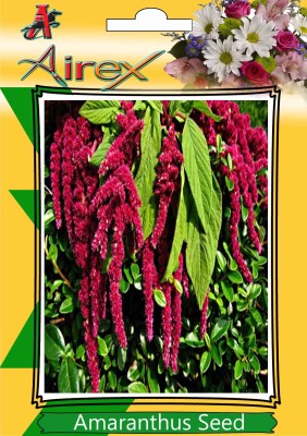 Airex Amaranthus Seed(400 per packet)