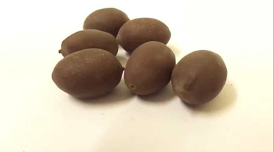 

HERBSCART Lotus Seed Seed(20 per packet)