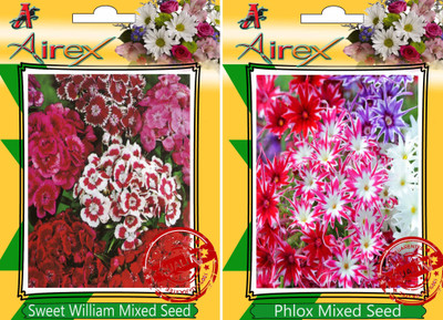 

Airex Sweet William Mixed, Phlox Mixed Seed(30 per packet)