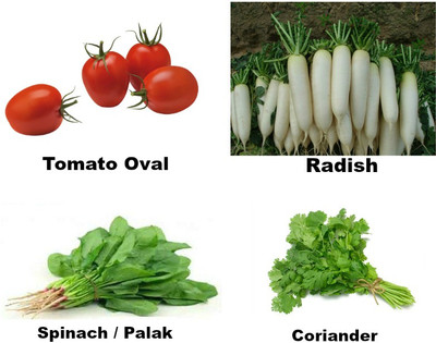 

Easy Gardening Tomato oval, Radish, Spinach / Palak, Coriander Seed(25 per packet)