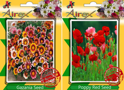 Airex Gazania, Poppy Red Seed(20 per packet)