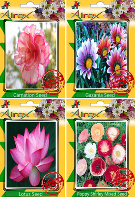 

Airex Carnation, Gazania, Poppy Shirley Mixed, Lotus Seed(20 per packet)