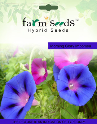 

FARM SEEDS Morning Glory Impomea Seed(50 per packet)