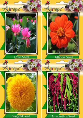 

Airex Lotus,Tithonia,Sungold and Amaranthus Seed(25 per packet)