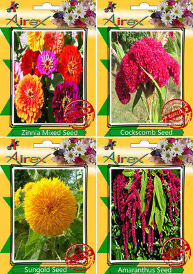 

Airex Zinnia Mixed,Cockscomb,Sungold and Amaranthus Seed(20 per packet)