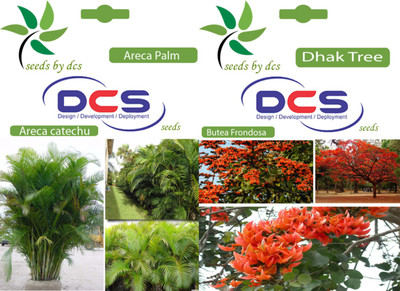 

DCS Areca Palm and Dhak Tree Seed(20 per packet)