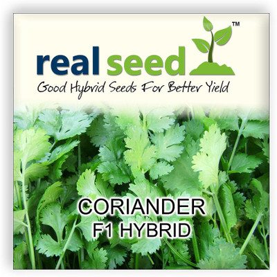 

Real Seed Coriander Seed(100 Per Packet)