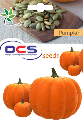 

DCS Pumpkin Seed(50 per packet)