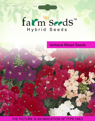 

FARM SEEDS Verbena Mixed Seed(100 per packet)