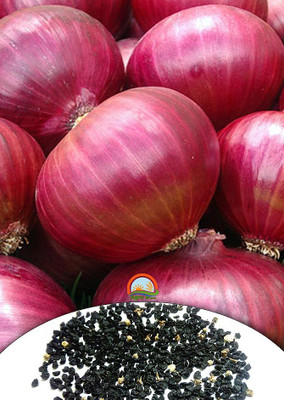 Red onion clothing coupon code